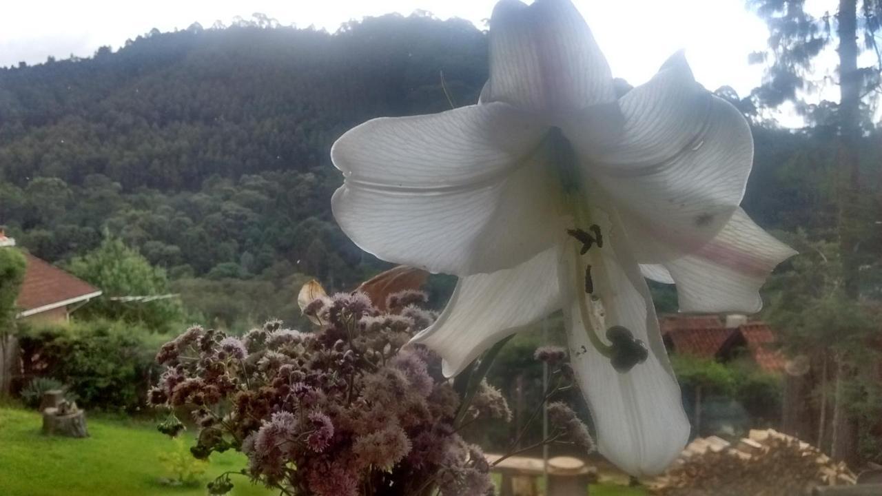 לינה וארוחת בוקר מונטה ורדה Morada Rancho Da Lua מראה חיצוני תמונה